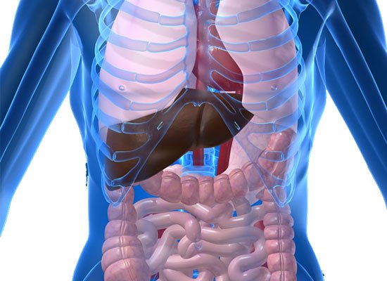 Gastroenterology